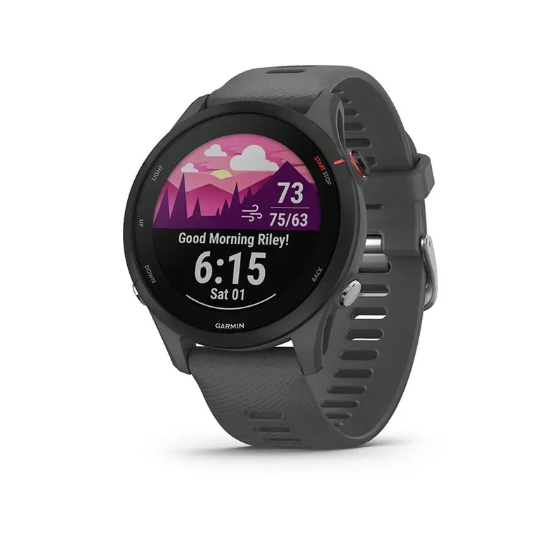Garmin Forerunner 255 Watch in Gray